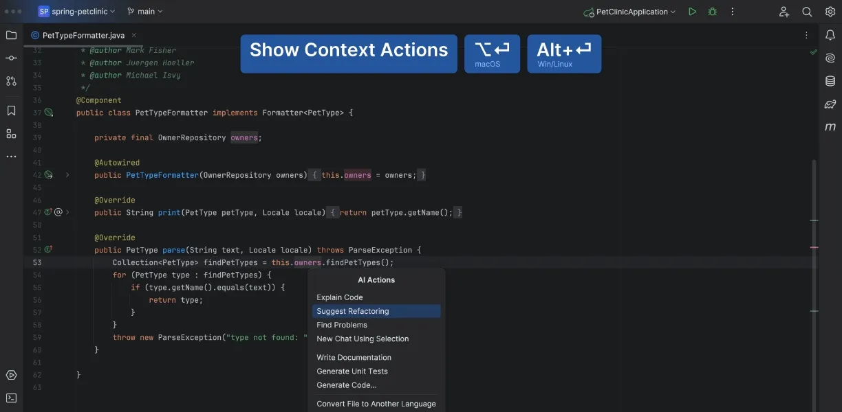 Code editor with PetTypeFormatter class and an AI Actions context menu offering Explain Code and Suggest Refactoring 